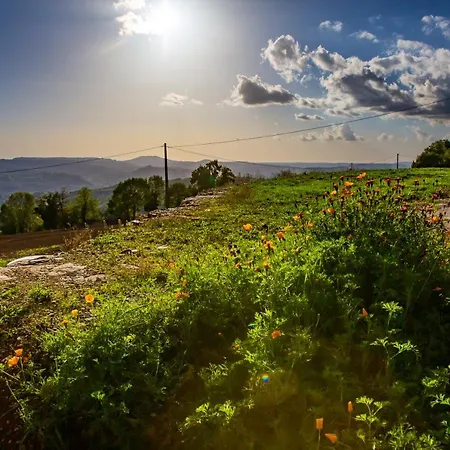 A - 80 M² Avec Balconc アパート *